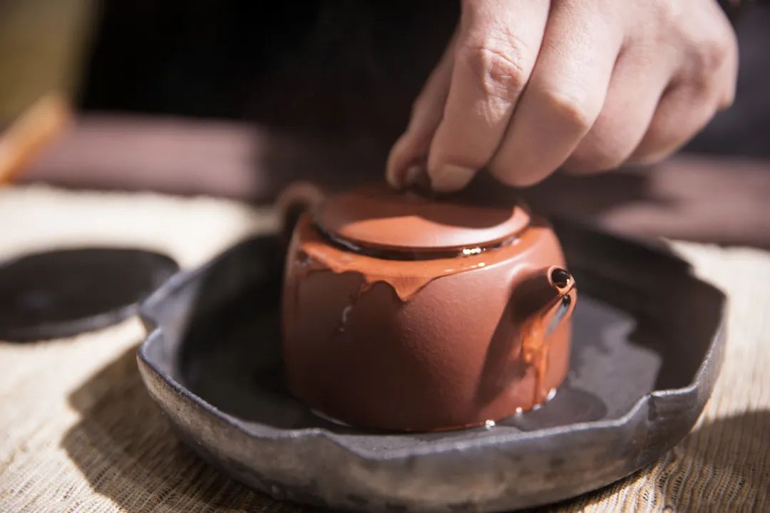 茶界不得不说的真相