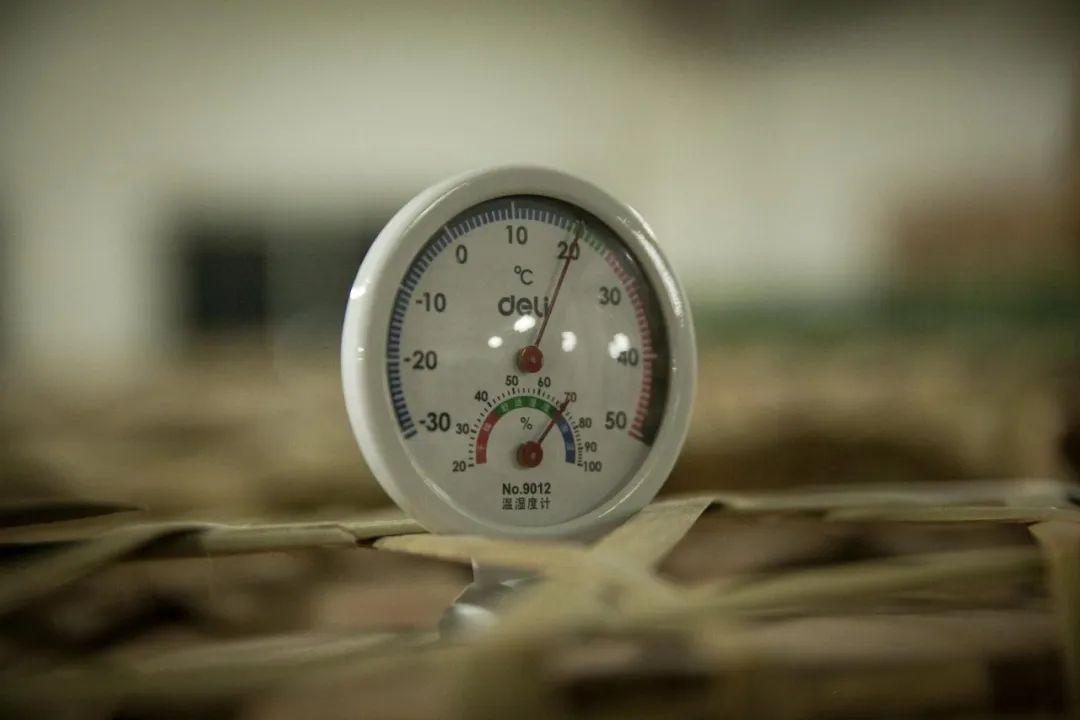 铁观音存了15年就是"老铁"了 ? 不，你对"老铁"的误解相当扎心了！