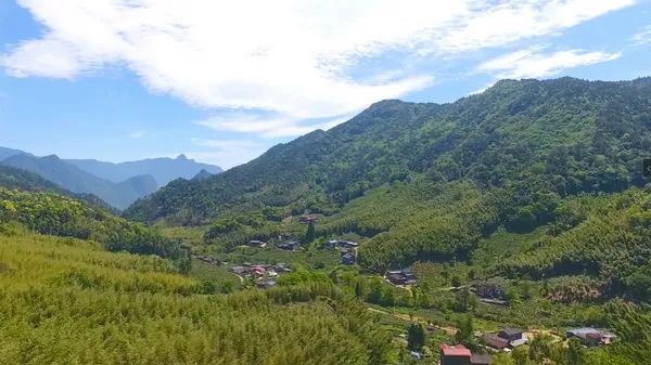 “茶不正宗，我不是人”这种野性难驯的淘宝卖茶文案，你吃得消几条？