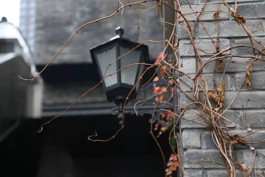 寻茶记丨庭院深深深几许，在网红重庆这条老街发现了一壶人间烟火