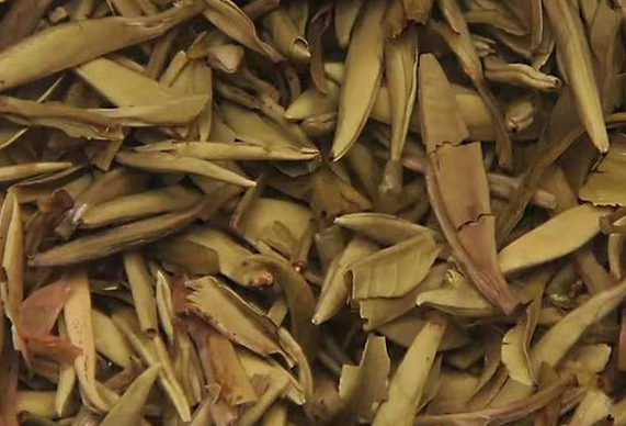 泡完的茶叶不要丢, 仔细看一下就能看出茶叶好坏, 隔壁的茶叶奸商都吓哭了!