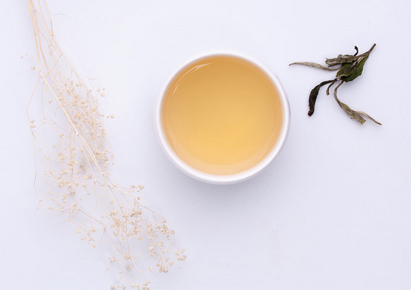 白茶好奇12问：没想到你对白茶的误解居然这么深！