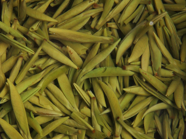泡完的茶叶不要丢, 仔细看一下就能看出茶叶好坏, 隔壁的茶叶奸商都吓哭了!