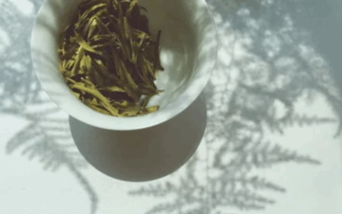 茶行业未来发展究竟怎样？这份《中国茶行业蓝皮书》给出了答案