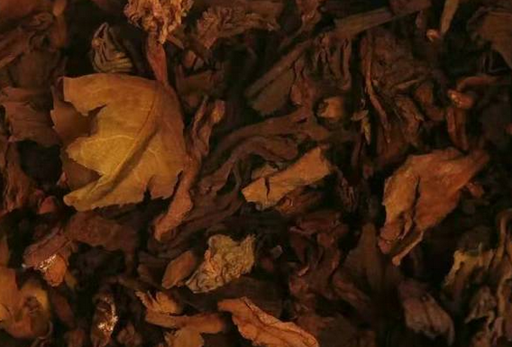 泡完的茶叶不要丢, 仔细看一下就能看出茶叶好坏, 隔壁的茶叶奸商都吓哭了!
