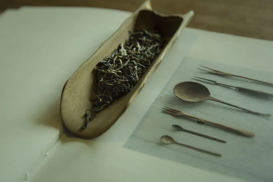 我看你资质奇佳，这本蹭茶秘笈就送你了!
