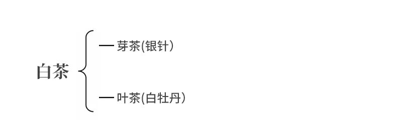 中国茶百科 | 史上最强的“茶菜鸟”攻略
