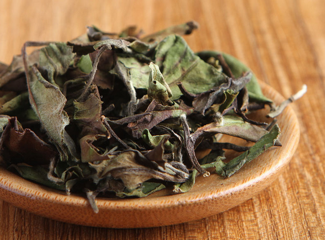 中国茶百科 | 史上最强的“茶菜鸟”攻略