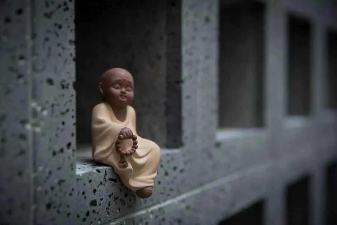 我看你资质奇佳，这本蹭茶秘笈就送你了!