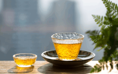 白茶好奇12问：没想到你对白茶的误解居然这么深！