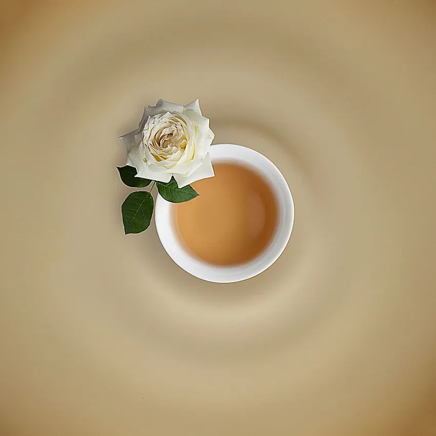 喝茶入门口感指南（不用经验值爆表，小白即刻升级！）