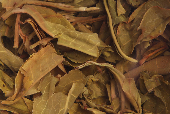 泡完的茶叶不要丢, 仔细看一下就能看出茶叶好坏, 隔壁的茶叶奸商都吓哭了!