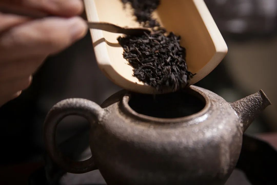 茶界不得不说的真相(二)