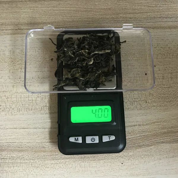 生命极端实验：24小时空腹饮茶是什么体验？作死小编肉身亲测告诉你