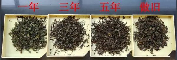 白茶好奇12问：没想到你对白茶的误解居然这么深！
