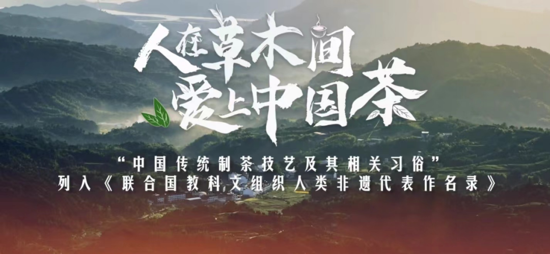 “中国茶”申遗成功，他们在守护非遗技艺的根与魂！