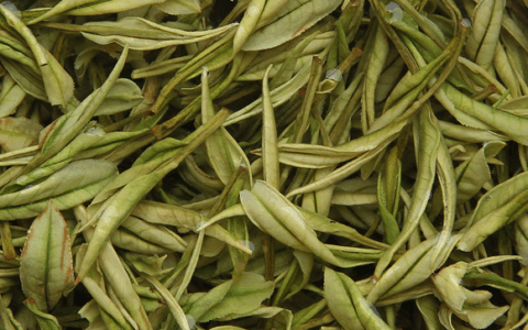 泡完的茶叶不要丢, 仔细看一下就能看出茶叶好坏, 隔壁的茶叶奸商都吓哭了!