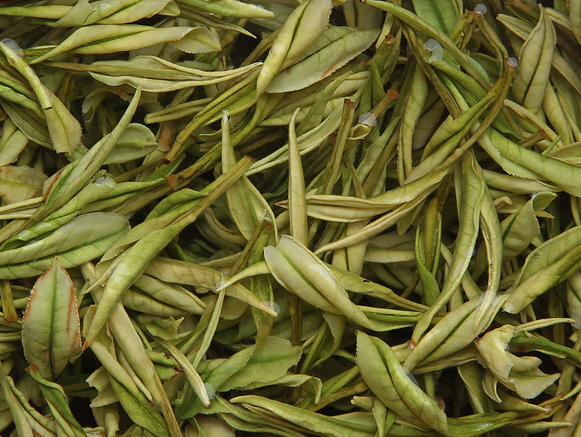 泡完的茶叶不要丢, 仔细看一下就能看出茶叶好坏, 隔壁的茶叶奸商都吓哭了!