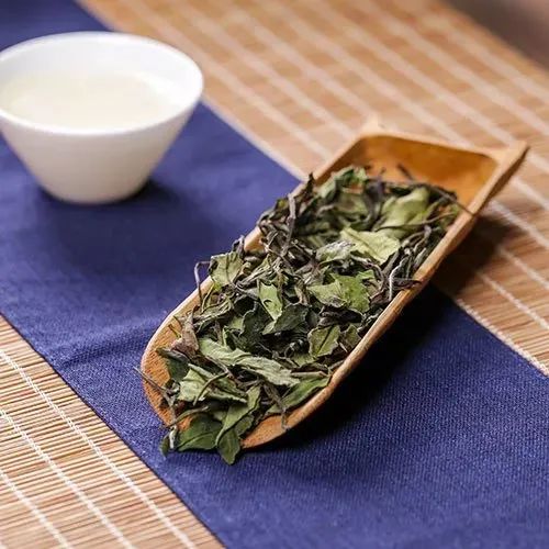 白茶好奇12问：没想到你对白茶的误解居然这么深！