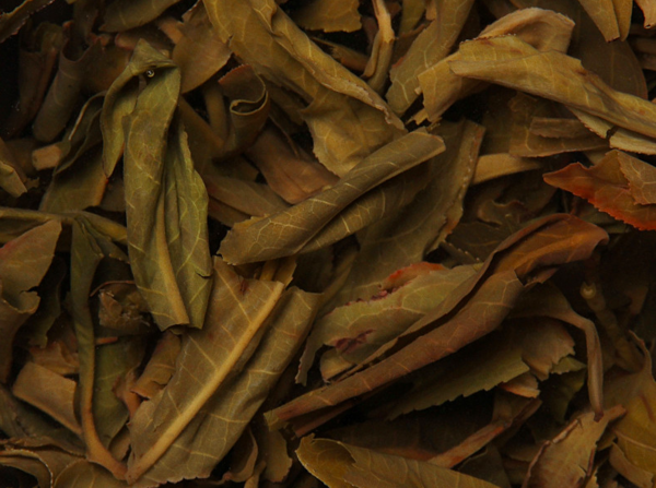 泡完的茶叶不要丢, 仔细看一下就能看出茶叶好坏, 隔壁的茶叶奸商都吓哭了!