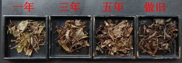 白茶好奇12问：没想到你对白茶的误解居然这么深！