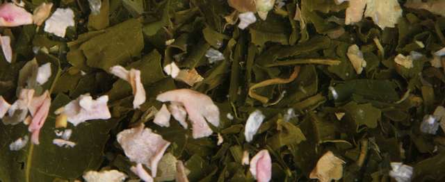 中国茶百科 | 史上最强的“茶菜鸟”攻略