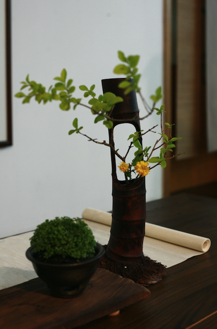 学会在茶席上插花，你就能随时拯救一场品格不高的茶会！
