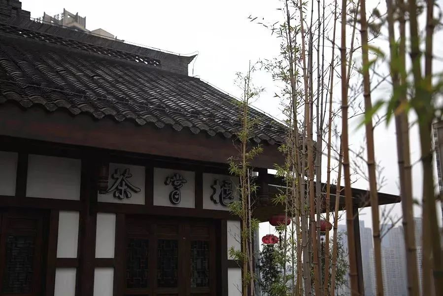 寻茶记丨庭院深深深几许，在网红重庆这条老街发现了一壶人间烟火
