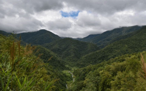 在茶山密林和泥泞崖边穿行的茶农们，究竟爱开什么车？