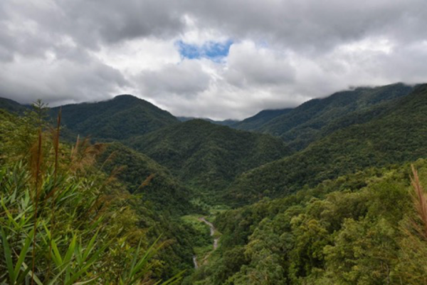 在茶山密林和泥泞崖边穿行的茶农们，究竟爱开什么车？