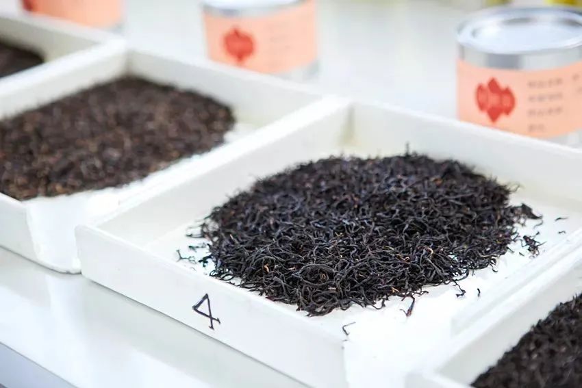 从茶号到合作社，再到中茶公司，这款茶叶的财富故事一直在不停书写