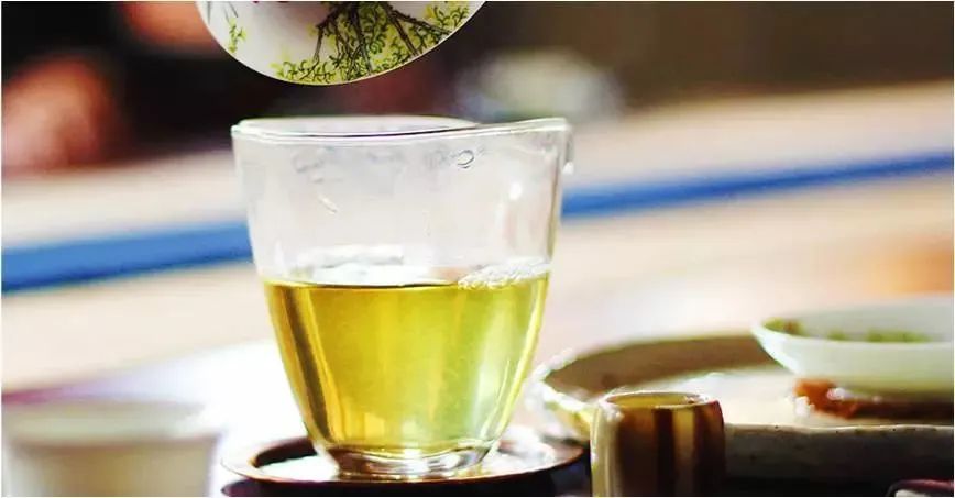 有哪些事是你真正喝茶以后才懂的？小白对茶的十大误解