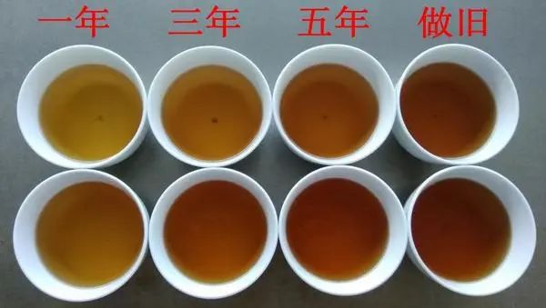 白茶好奇12问：没想到你对白茶的误解居然这么深！
