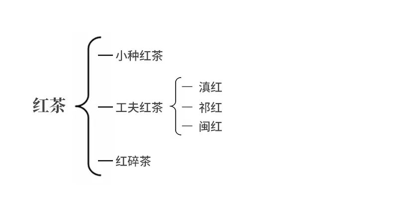 中国茶百科 | 史上最强的“茶菜鸟”攻略