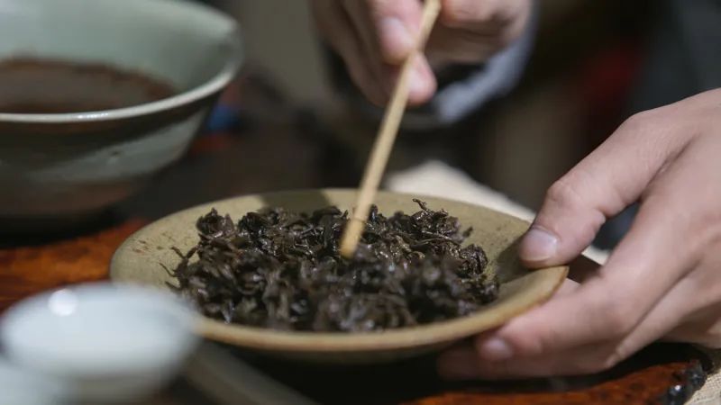 茶界不得不说的真相