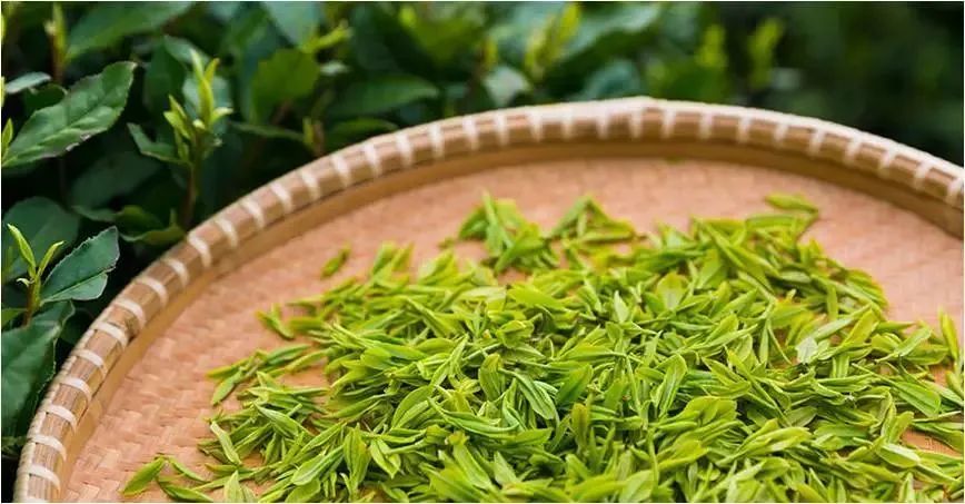 有哪些事是你真正喝茶以后才懂的？小白对茶的十大误解
