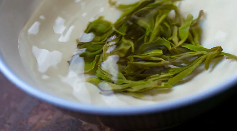 一个喝茶人的“油拔”体验分享