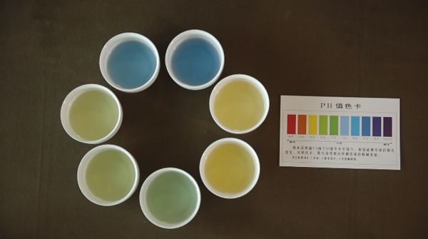 泡茶密码，用水迷局：同水不同壶，同茶不同水的差别在哪里？