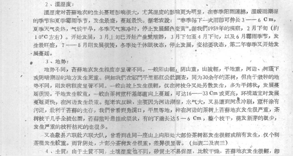 有人多花30%的钱,就为买树上长苔藓的茶,专家:那是茶树病害