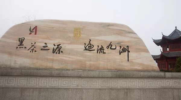 可能这份茶学专业职业规划书对你来说晚了点,但是否可以把它转给还没毕业的学弟学妹?