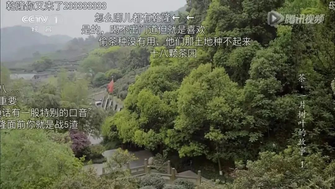 融入年轻人的“弹幕”法则