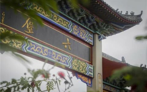 触及灵魂的六堡茶20问，读完这些问题，你就是六堡茶的半个专家