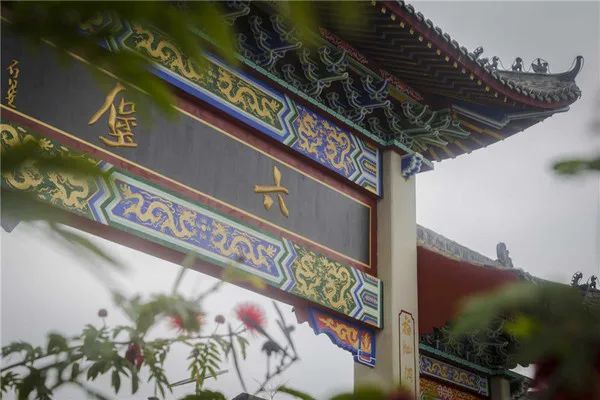 触及灵魂的六堡茶20问，读完这些问题，你就是六堡茶的半个专家