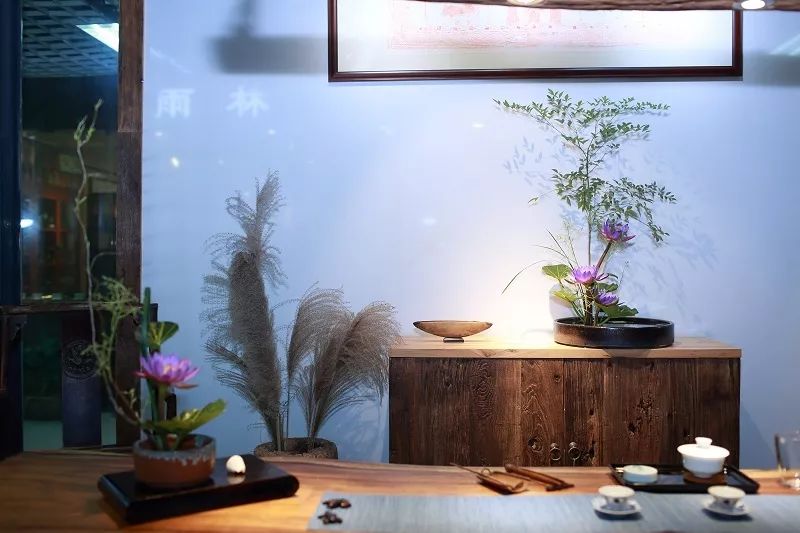 泡不同茶类的茶席该如何插花，钻研花道15年的插花大咖为你一一详解！