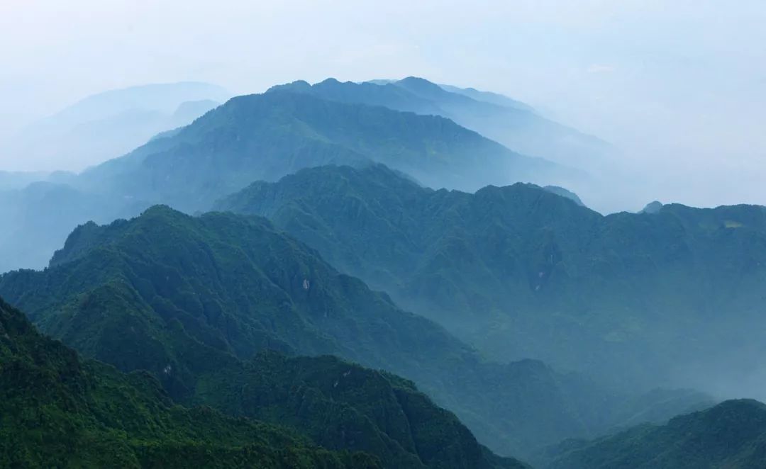 茶人必备免费壁纸:武夷岩茶/云南普洱/安徽祁红…这些好茶的绝美茶山都打包了