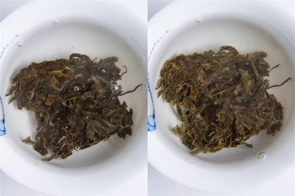 为什么别人泡出来很好喝的茶，我泡出来像假茶？普洱茶冲泡指南