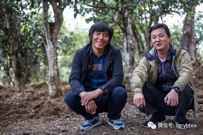 茶亲时代:几千公里外不相识的两个陌生人,用茶汤调浓了血缘关系