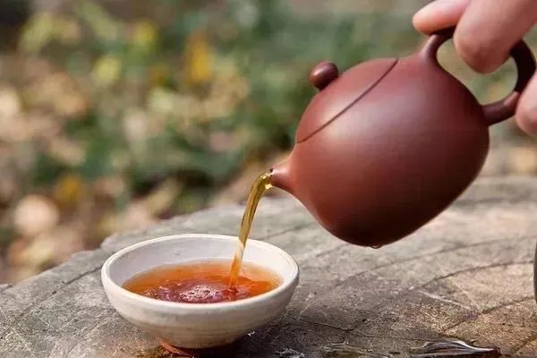 汤感香气复苏教程：你存的茶香气出现问题？其实可以再抢救一下！