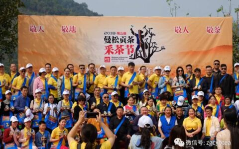 茶界香格里拉-传说中的曼松到底长什么样?图文揭秘长在森林中的古茶园