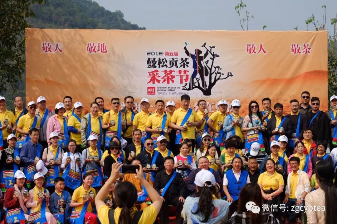 茶界香格里拉-传说中的曼松到底长什么样?图文揭秘长在森林中的古茶园